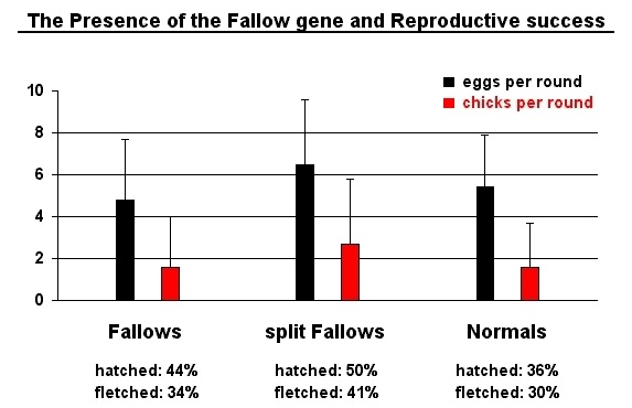 How to breed fallow budgies? [+Expectation Table]