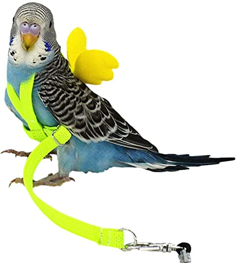 Budgie clothes, harness & leash, diapers (flight suits) [GUIDE!]