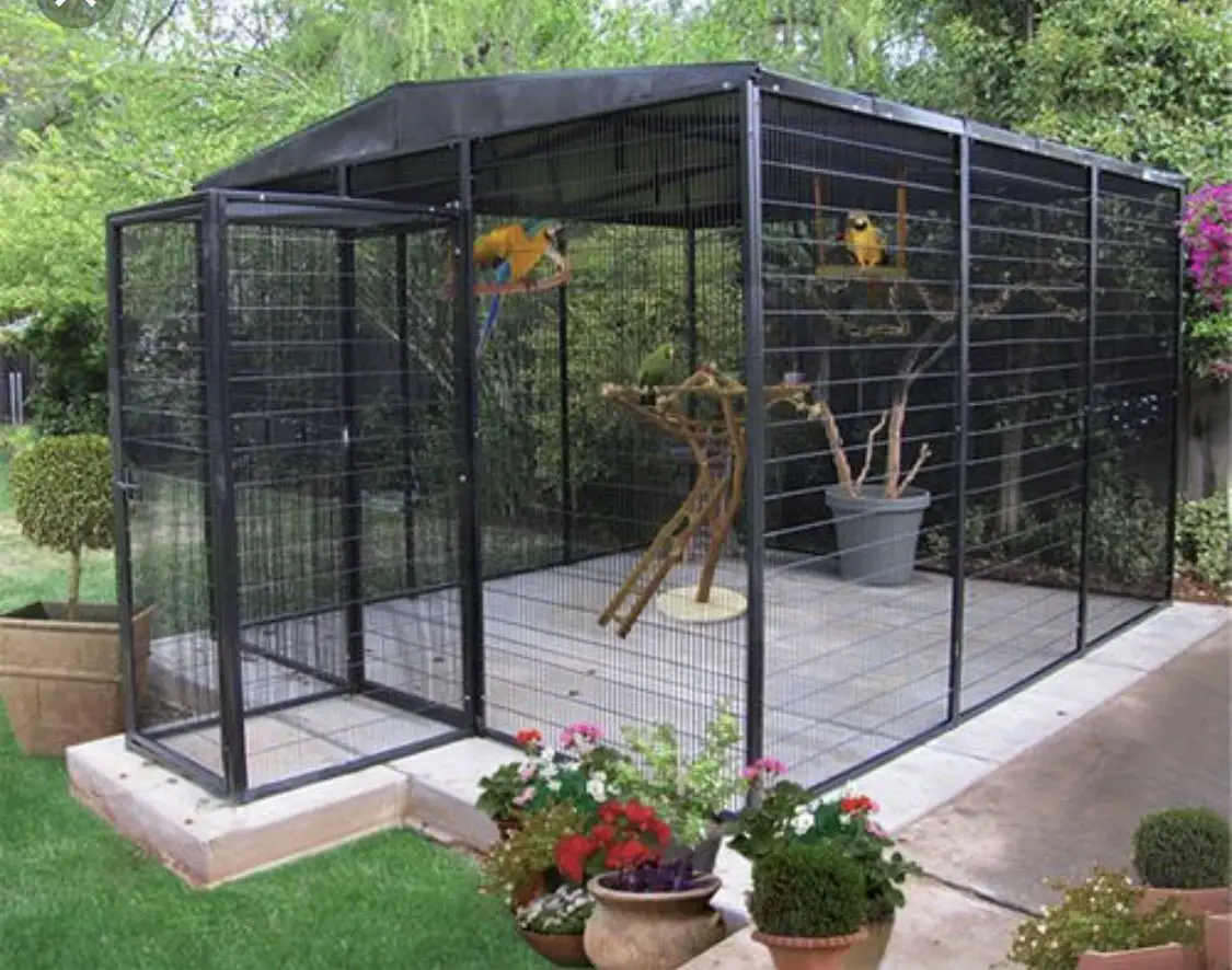 Budgie aviaries [Ideas, Sizes, Materials, Setup, Indoor, Outdoor]