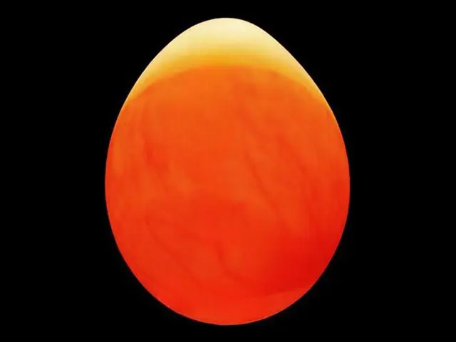 Day 8 image of a budgie egg while candling during the incubation period.