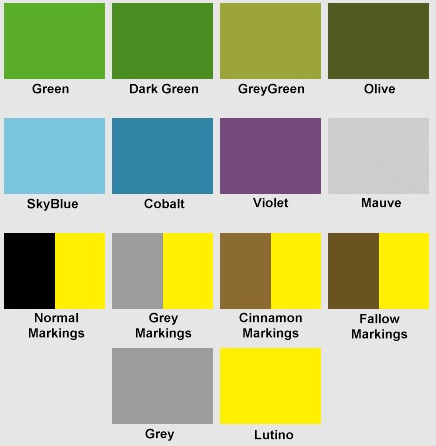 Budgies color chart as an image
