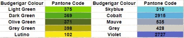 WBO Budgerigar Colour Guide