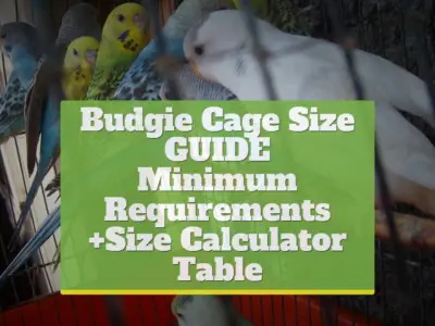 Budgie Cage Size Guide [Minimum & Size Calculator Table]
