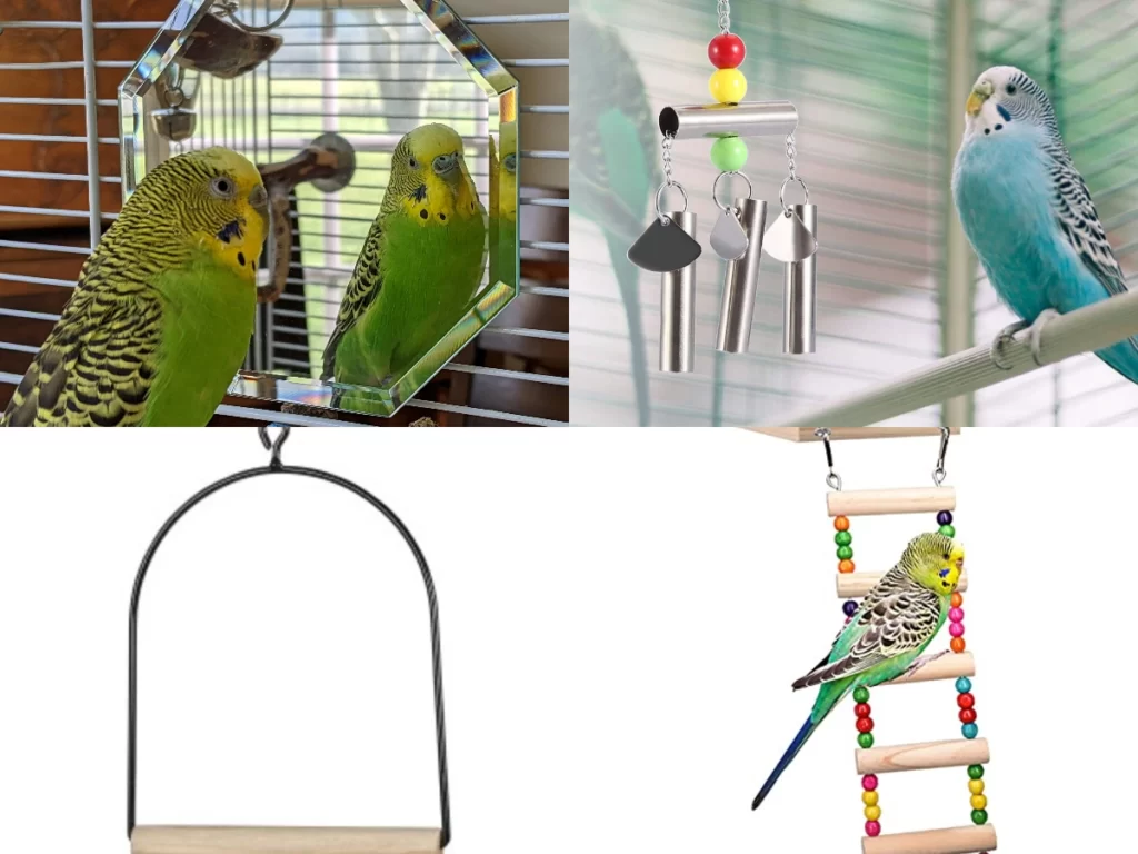Budgie Cage Guide: Accessories, Setup, Cage Types, Number Of Budgies And Cage Size, Materials, Homemade