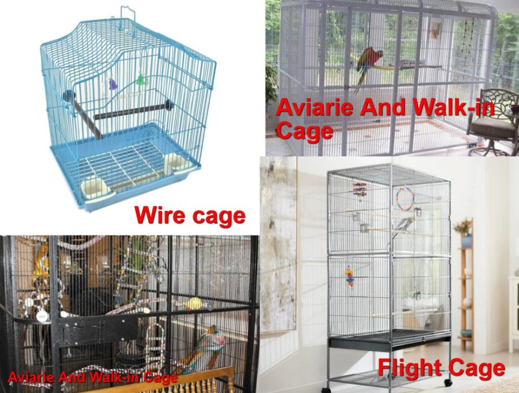 Budgie Cage Guide: Accessories, Setup, Cage Types, Number Of Budgies And Cage Size, Materials, Homemade