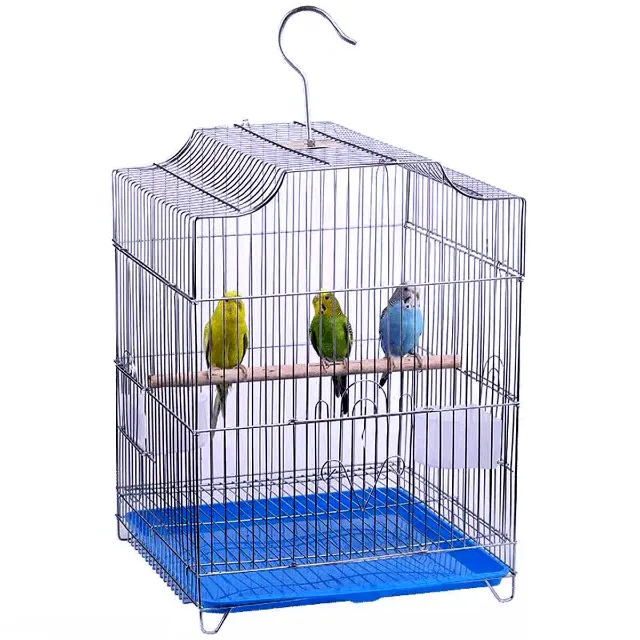 Budgie Cage Guide: Accessories, Setup, Cage Types, Number Of Budgies And Cage Size, Materials, Homemade