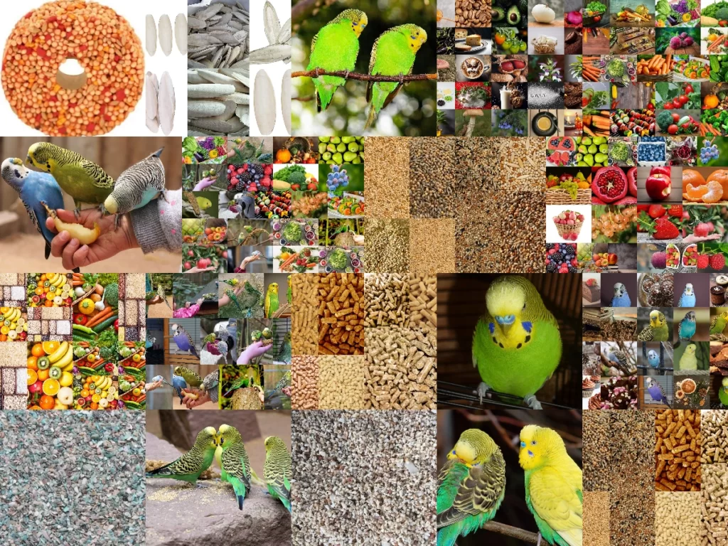 A Complete Guide for Budgie Diet: Seeds, Grains, Pellets, Fruits, Vegetables, Insects, Toxic Foods, and More
