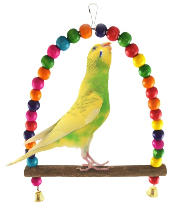What Do Budgies Like To Play With? All Budgie Toys Explained!
