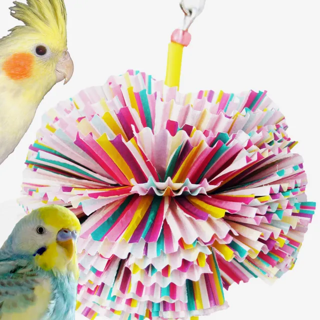 What Do Budgies Like To Play With? All Budgie Toys Explained!