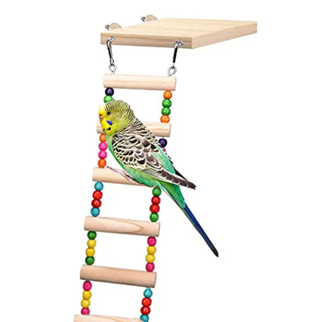 What Do Budgies Like To Play With? All Budgie Toys Explained!