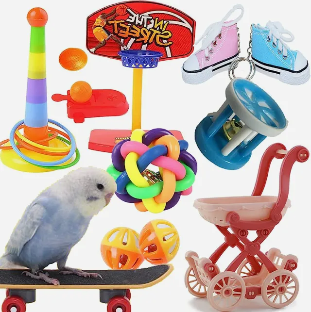What Do Budgies Like To Play With? All Budgie Toys Explained!