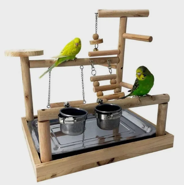 What Do Budgies Like To Play With? All Budgie Toys Explained!